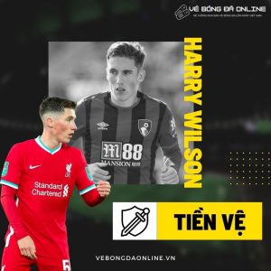 Harry Wilson